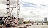 UK International University Student Statistics